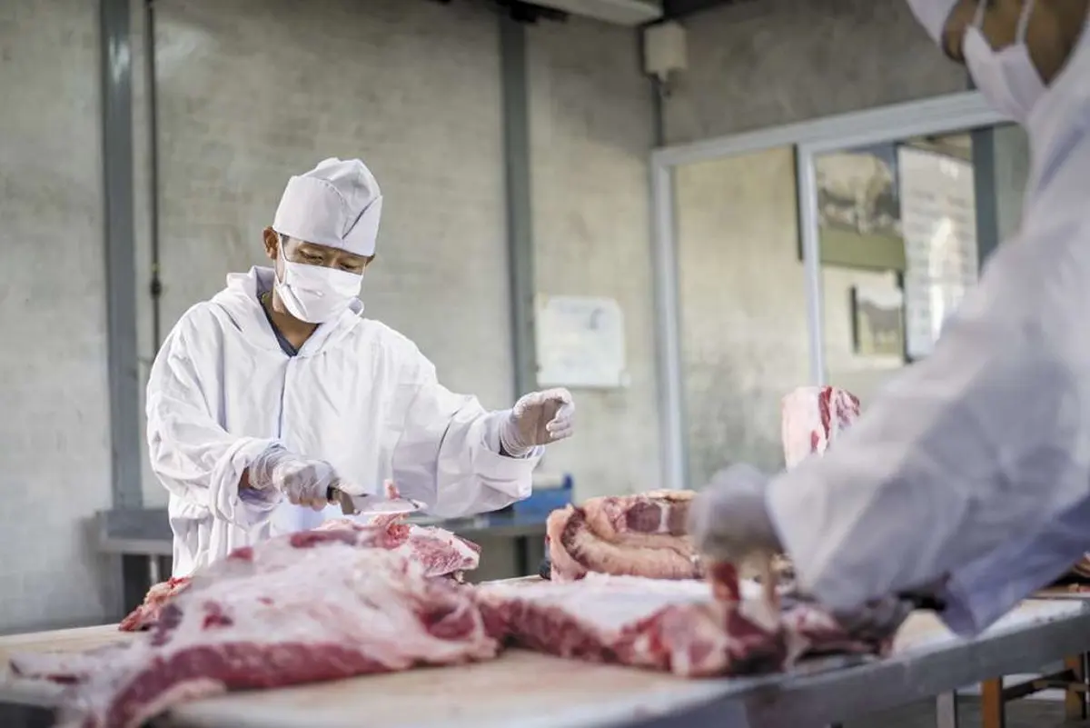 Buenas prácticas de manufactura en carnicerías - Qué es BPM en carnicos buenas practicas de manufactura en carnicerias - Qué es BPM en carnicos