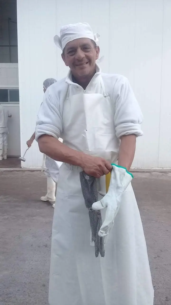 despostador de carne - Qué es Despostar una res