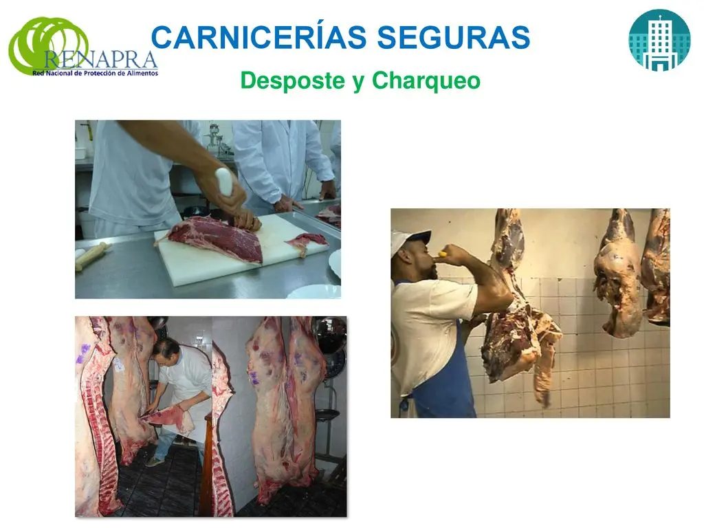 BPM en carnicerías: garantizando la higiene y la seguridad alimentaria - Qué es el BPM y BPA bpm en carnicerias - Qué es el BPM y BPA