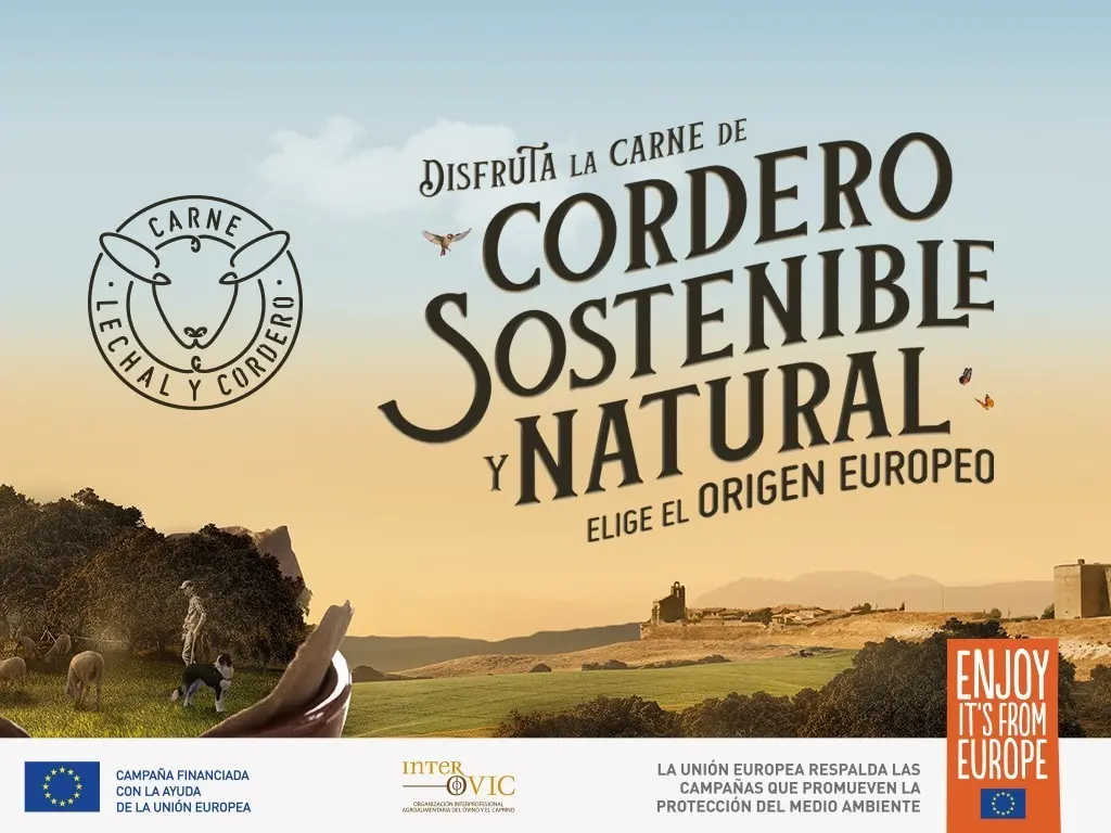 Carne sostenible: una opción consciente para el consumo - Qué es la carne sostenible carne sostenible - Qué es la carne sostenible