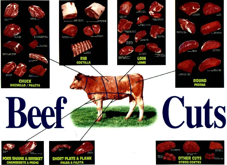 Precios de la carne en Carnicerías La Lonja - Qué es la lonja de ternera precios de la carne en carnicerias la lonja - Qué es la lonja de ternera