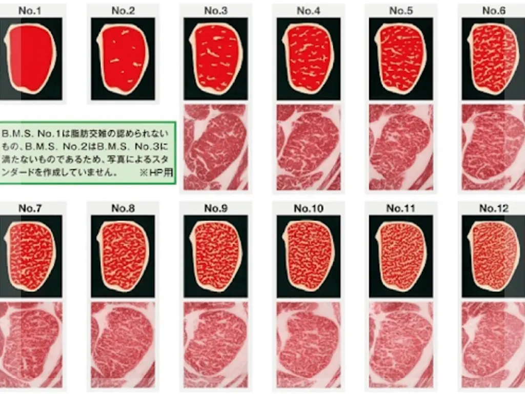 grados de marmoleo de la carne - Qué es la Marmorización y cuántos grados existen