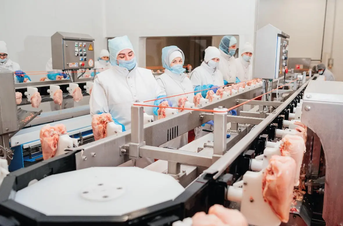 quien limpia y desinfecta la carniceria - Qué es limpieza y desinfección en la industria pecuaria