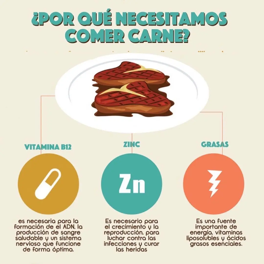 Beneficios de comer carne - Qué es mejor comer carne o no beneficios de comer carne - Qué es mejor comer carne o no