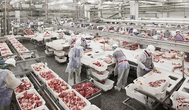 fabrica de carnes - Qué es producción de cárnicos