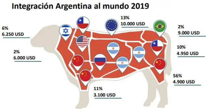 carne argentina exportacion - Qué exporta Argentina 2023