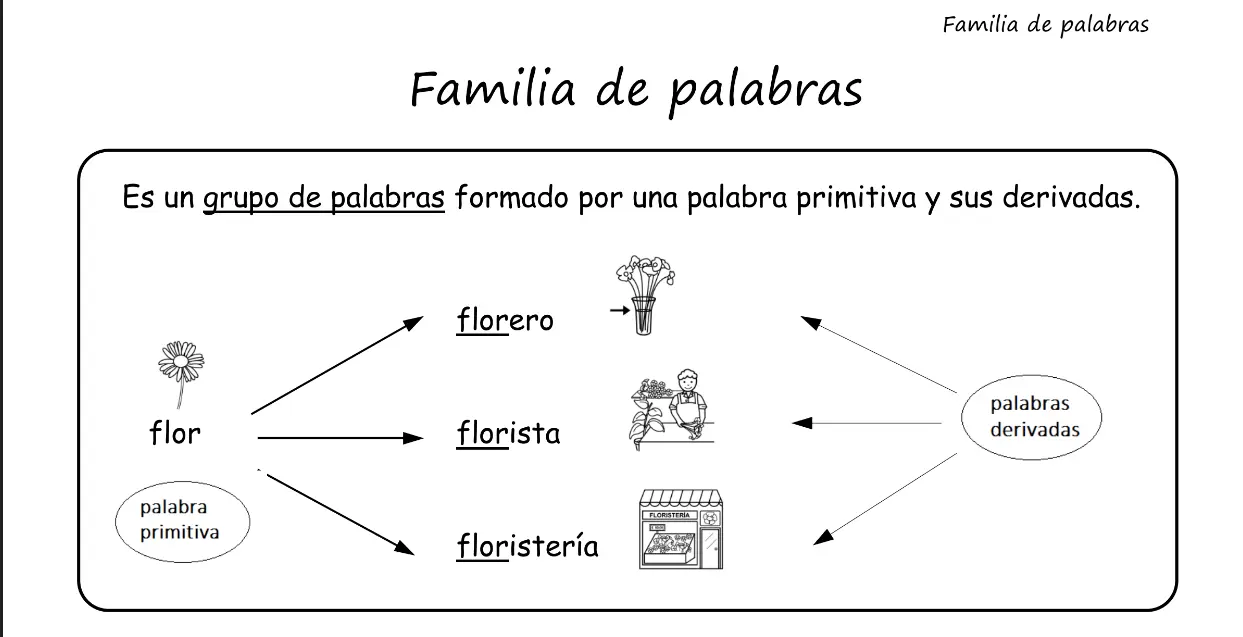 Familia de palabras de carne - Qué familia de palabras familia de palabras de carne - Qué familia de palabras