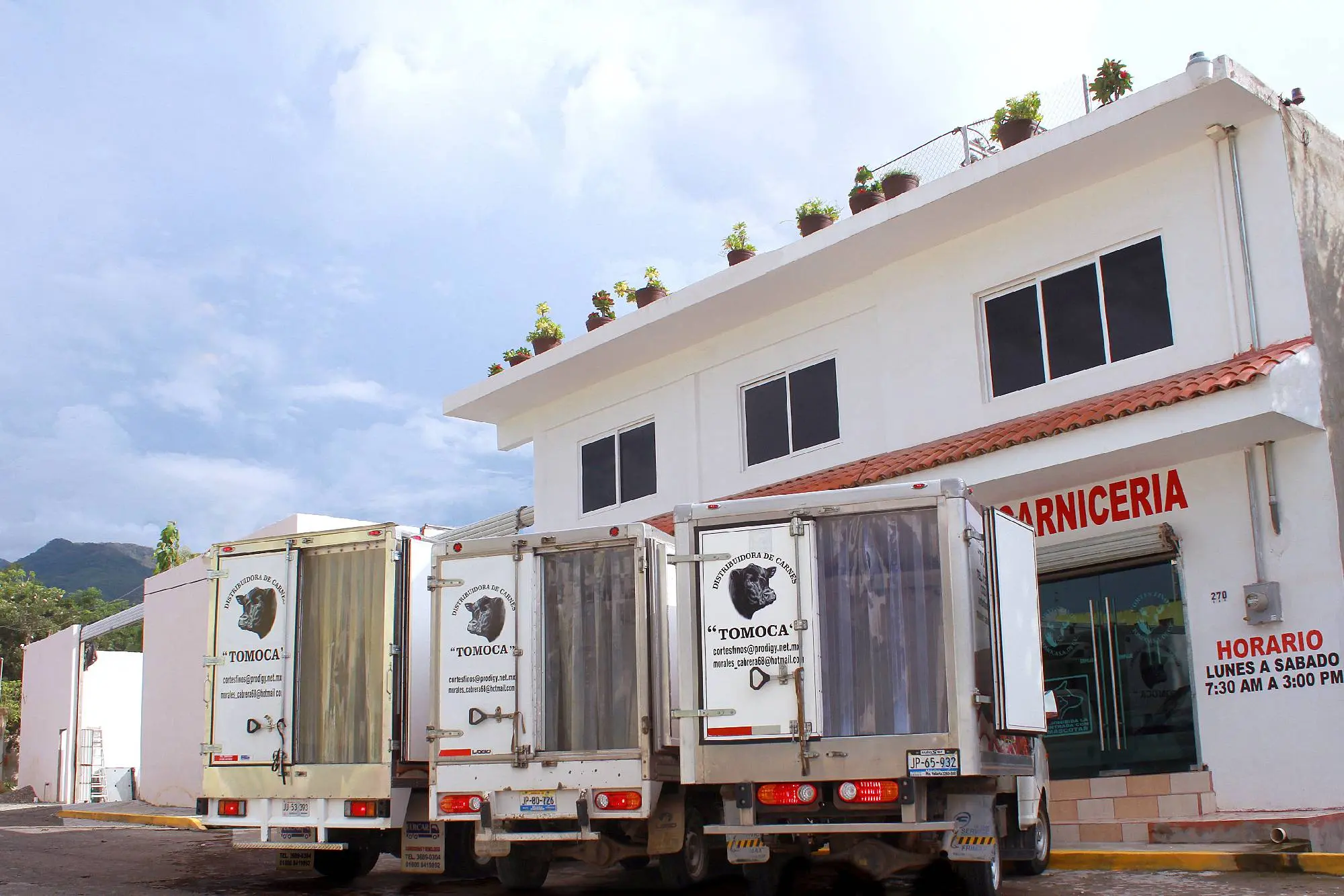 distribuidor de carne - Qué hace una distribuidora de carnes