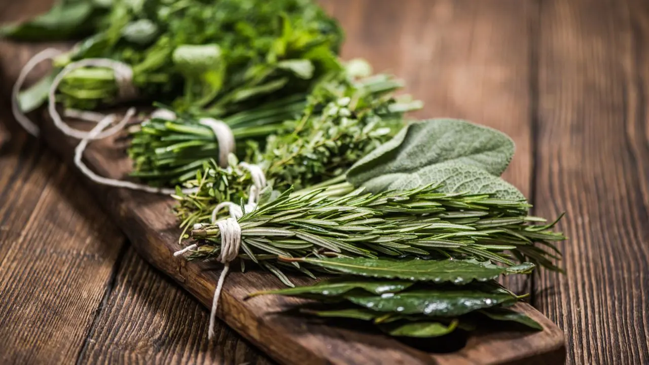 Hierbas para adobar carne: cómo darle sabor y aroma a tus preparaciones - Qué hierbas se usan para condimentar hierbas para adobar carne - Qué hierbas se usan para condimentar