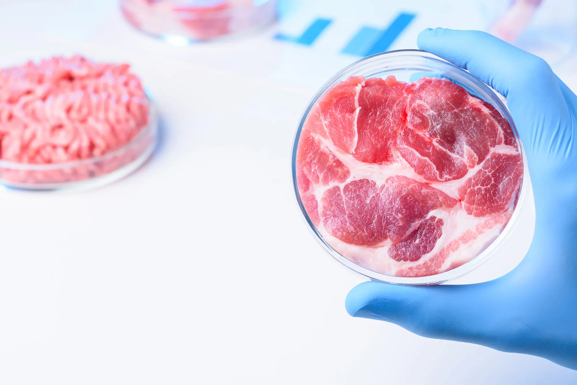 carnes sintéticas - Qué ingredientes tiene la carne sintética