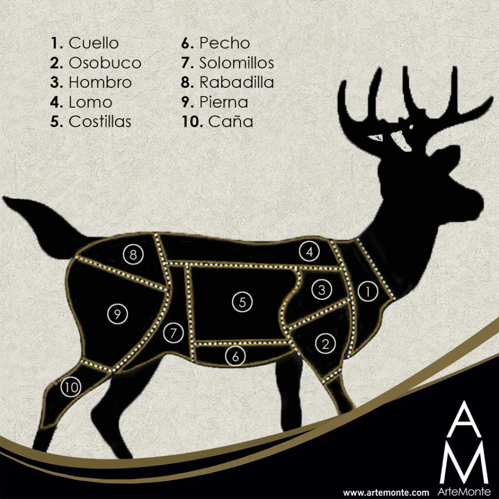 cortes de carne de ciervo - Qué parte del ciervo es el ragout
