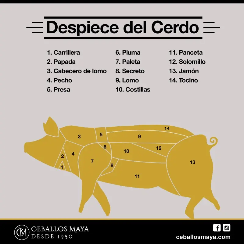 carne de cerdo iberico - Qué pieza es propia de la carne de cerdo ibérico