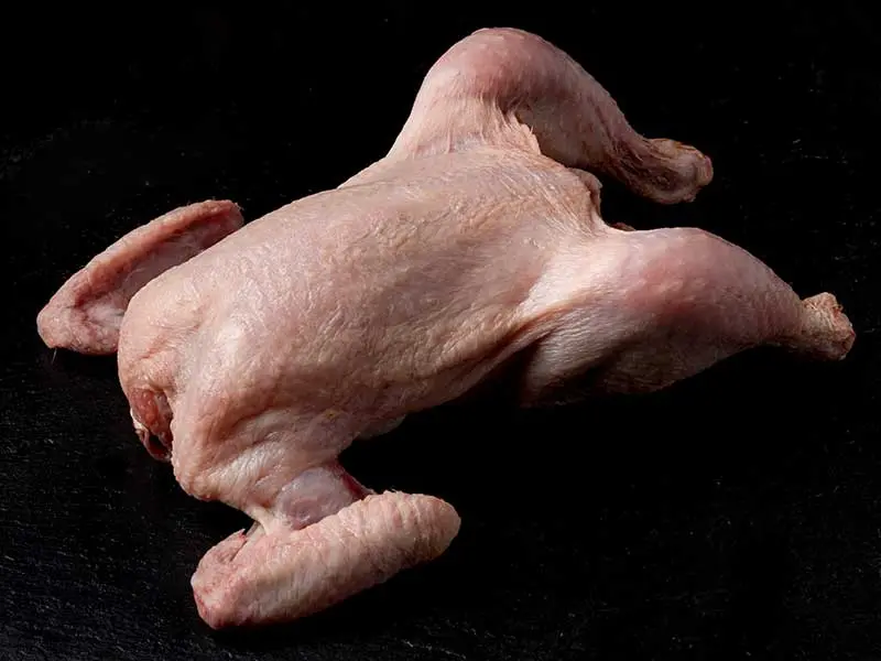 Carne de perdiz precio: ¿Cuánto cuesta? - Qué precio tiene la perdiz carne de perdiz precio - Qué precio tiene la perdiz