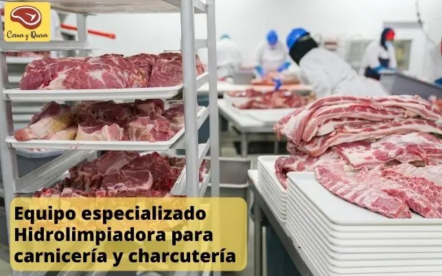 tipos de productos parea limpiar carniceria - Qué producto se usa para limpiar
