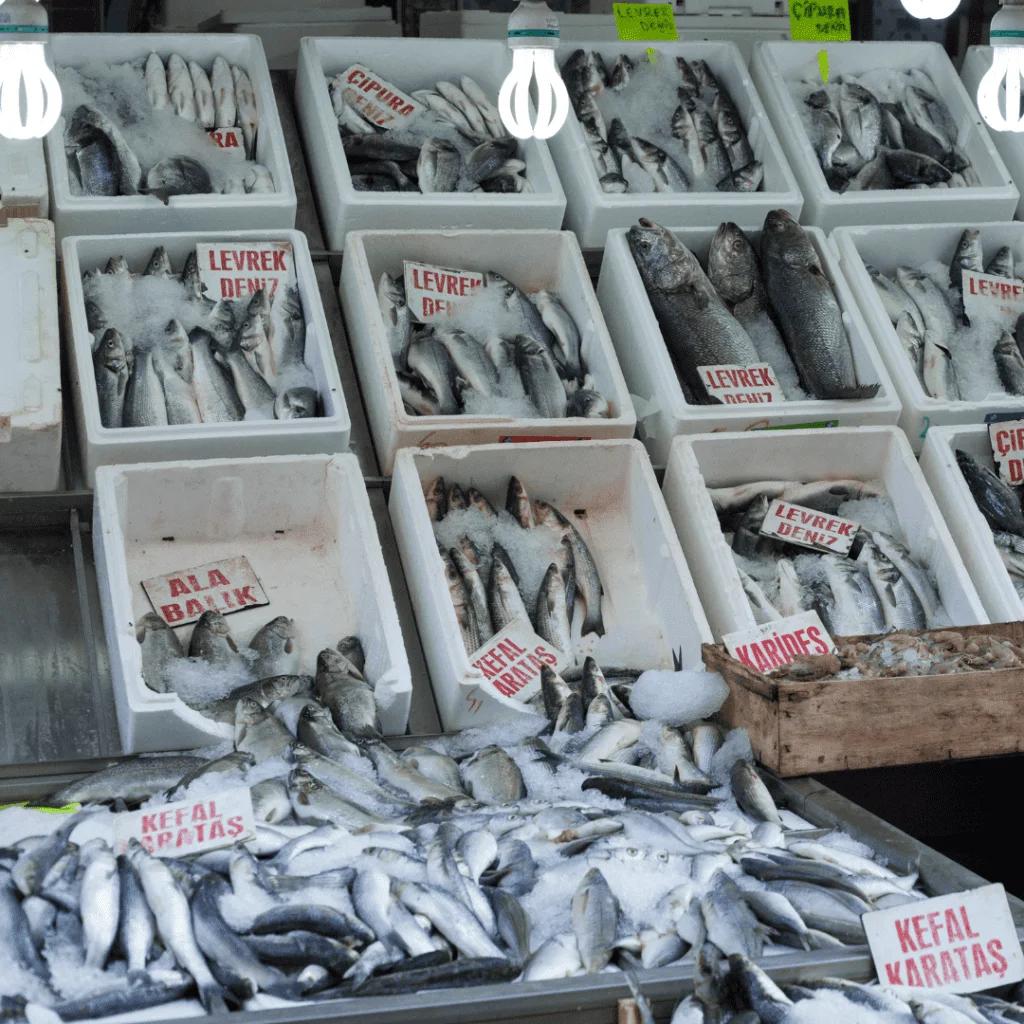 Con qué se debe de limpiar pescaderías y carnicerías - Qué productos se utilizan para desinfectar con que se debe de limpiar pescaderias y carnicerias - Qué productos se utilizan para desinfectar