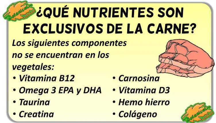 como suplementar la carne - Qué puedo comer para sustituir la carne