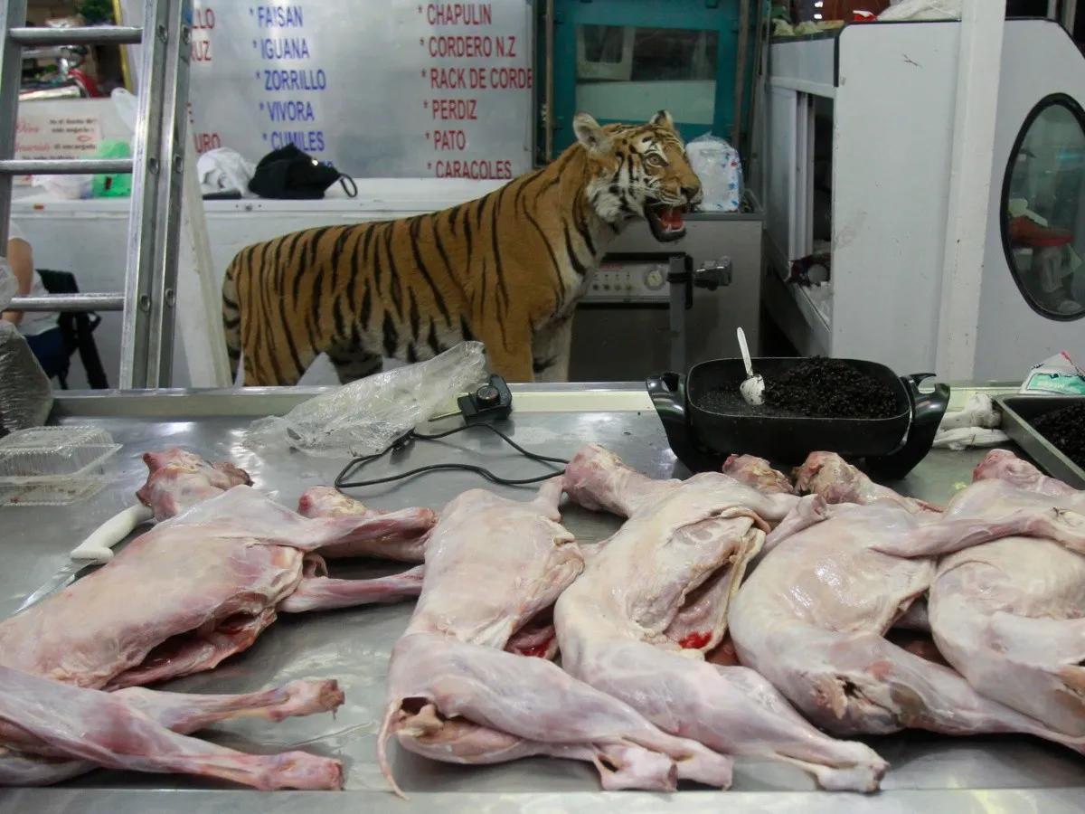 Carne de León: Una Delicia Exótica y Nutritiva - Qué sabor tiene la carne de león carne de leon - Qué sabor tiene la carne de león