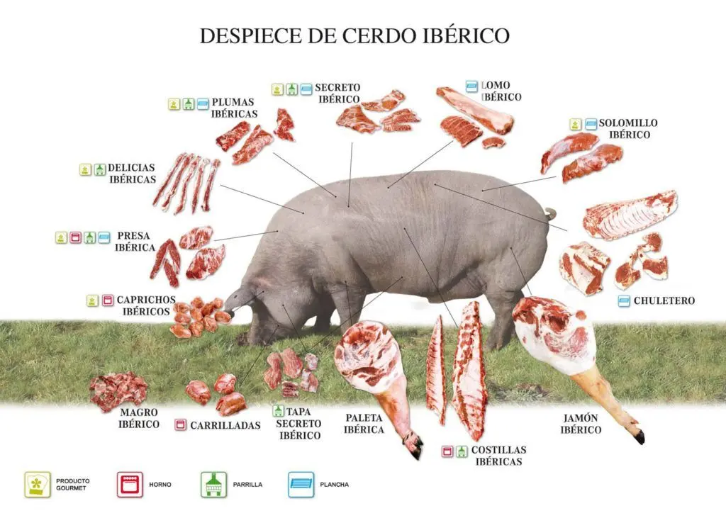 partes que podemos comprar en la carniceria de cerdo - Que se puede obtener de un cerdo