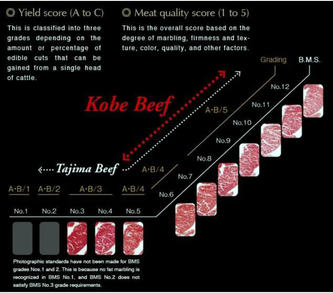 Calidad de la carne de Wagyu - Qué significa A5 en Wagyu calidad carne wagyu - Qué significa A5 en Wagyu