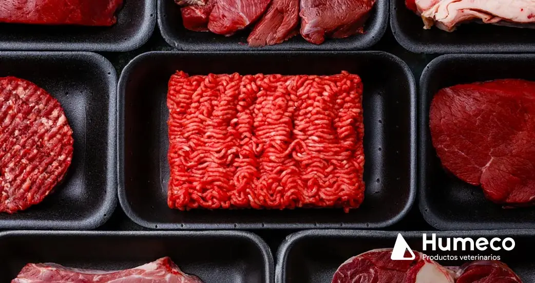 El Consumismo de Carne: Impacto en la Salud y el Medio Ambiente - Qué significa el consumo de carne consumismo de carne - Qué significa el consumo de carne