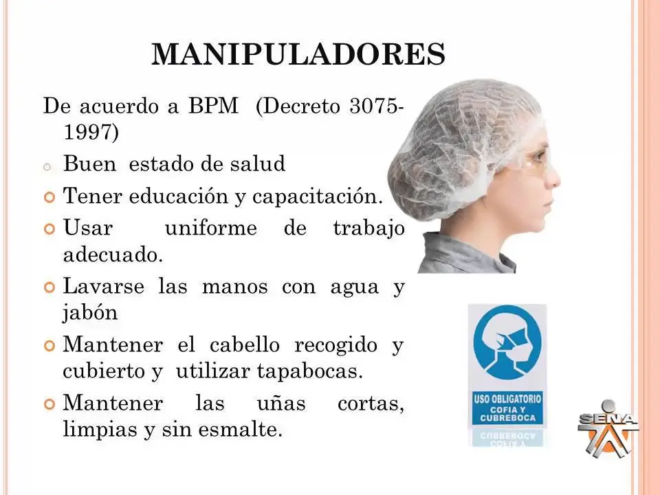 Buenas prácticas de manufactura en carnicerías - Qué son las Buenas Prácticas de Manufactura en la industria de los alimentos buenas practicas de manufactura en carnicerias - Qué son las Buenas Prácticas de Manufactura en la industria de los alimentos