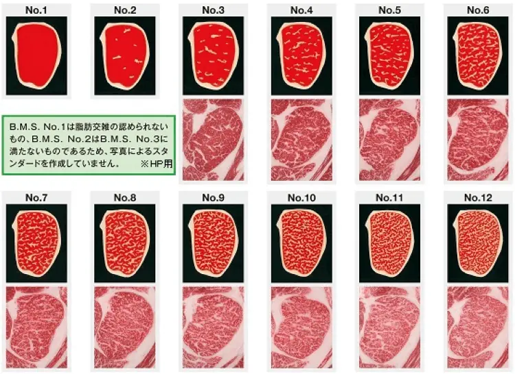 Calidad de la carne de Wagyu - Qué tan buena es la carne de Wagyu calidad carne wagyu - Qué tan buena es la carne de Wagyu