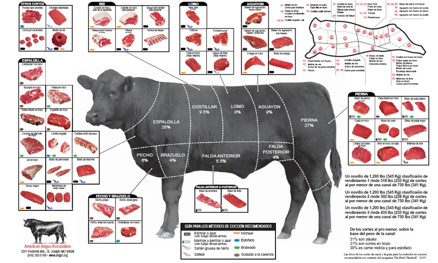 angus tipo de carne - Qué tipo de carne es Angus