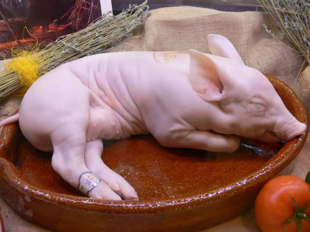 Carne de cochinillo: una delicia gastronómica - Qué tipo de carne es el cochinillo carne de cochinillo - Qué tipo de carne es el cochinillo