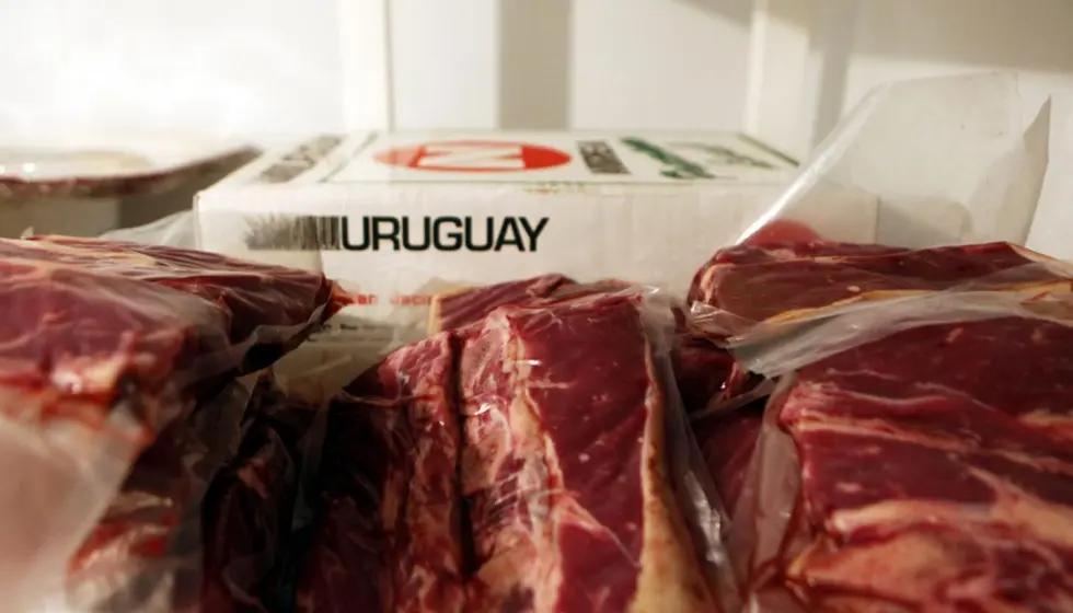 carne de uruguay - Qué tipo de carne exporta Uruguay