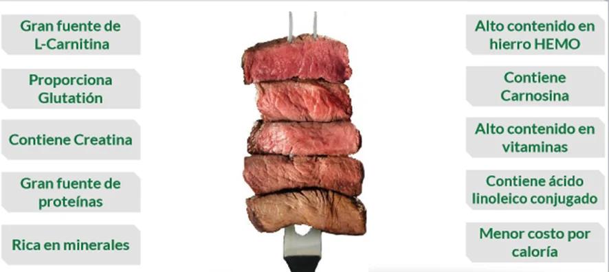Carne Roja: Propiedades y Beneficios para la Salud - Qué tipo de carne roja es mejor carne roja propiedades - Qué tipo de carne roja es mejor
