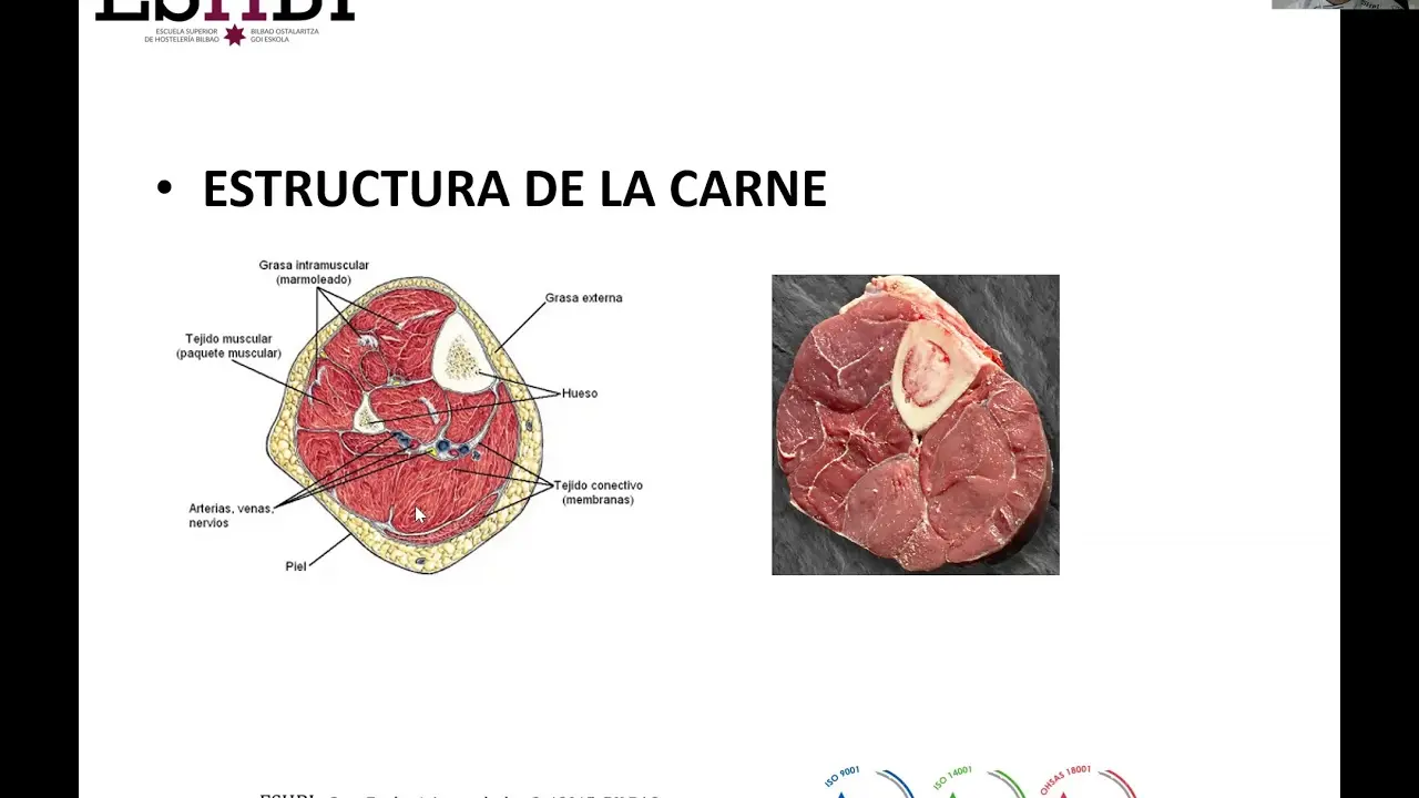 Estructura de la carne: una mirada a la proteína animal - Qué tipo de estructura tiene la proteína de la carne estructura de la carne - Qué tipo de estructura tiene la proteína de la carne
