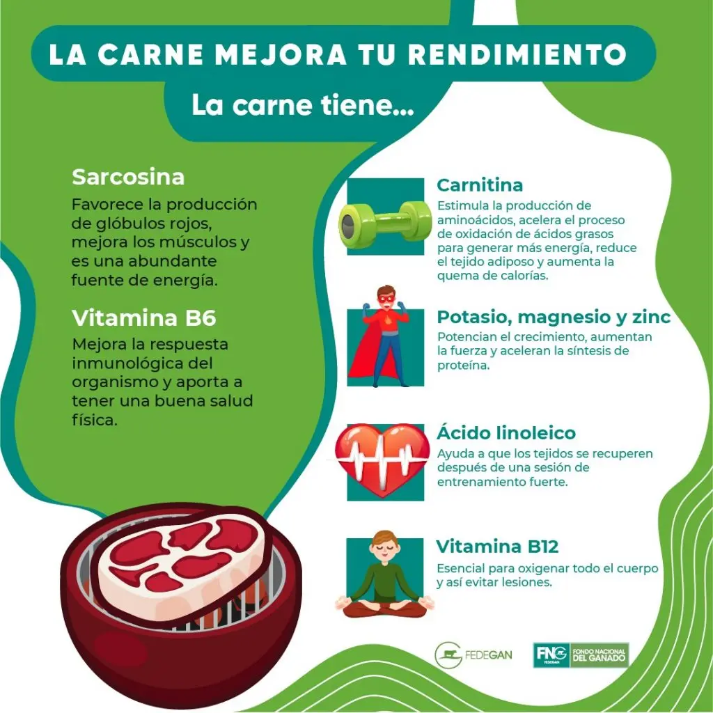 Beneficios de comer carne - Qué ventajas y que desventajas tiene el comer carne beneficios de comer carne - Qué ventajas y que desventajas tiene el comer carne