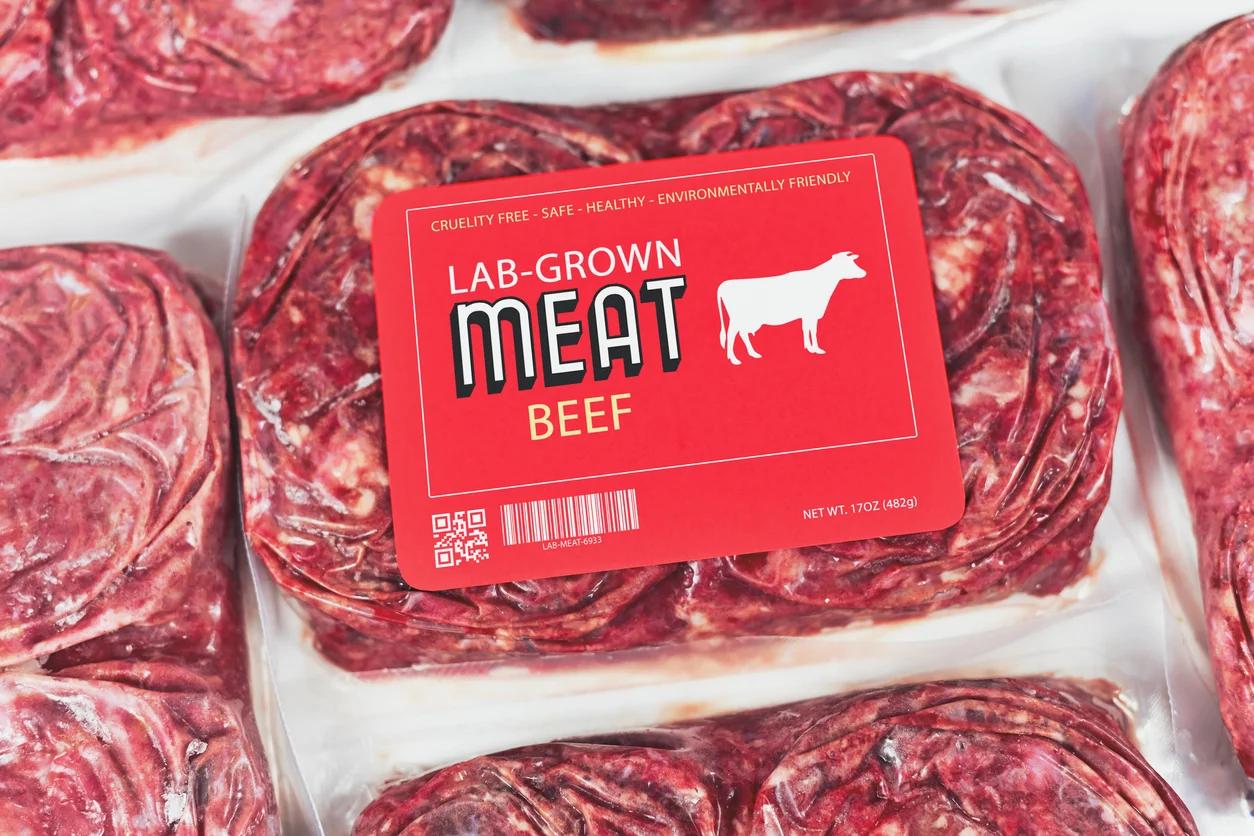 Carne cultivada en España: una alternativa sostenible y saludable - Quién creó la carne cultivada carne cultivada españa - Quién creó la carne cultivada